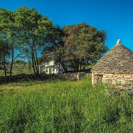 Holiday Home Bellissima Vodnjan Dış mekan fotoğraf