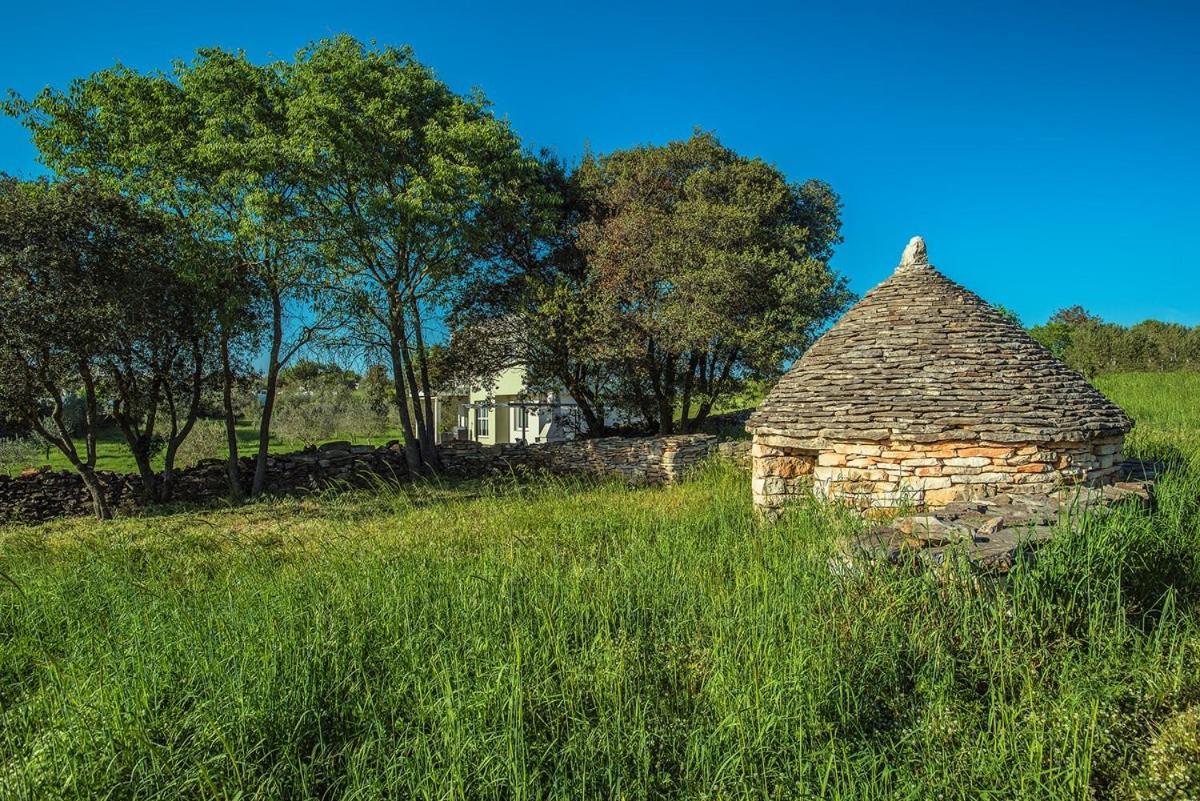 Holiday Home Bellissima Vodnjan Dış mekan fotoğraf