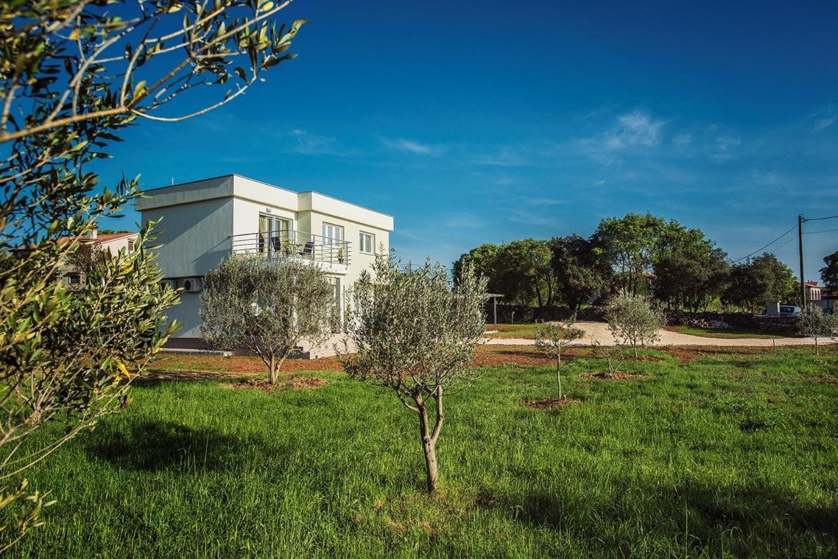Holiday Home Bellissima Vodnjan Dış mekan fotoğraf